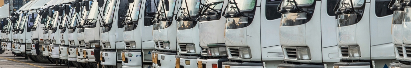 International Logistics & Transport 
